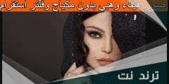 صور هيفاء وهبي بدون مكياج وفلتر استقرام