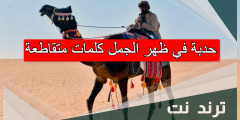 حدبة في ظهر الجمل كلمات متقاطعة