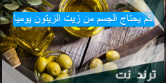 كم يحتاج الجسم من زيت الزيتون يوميا