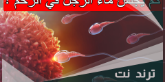 كم يجلس ماء الرجل في الرحم