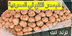 كم سعر الفقع في السعودية