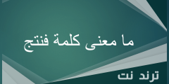 ما معنى كلمة فنتج