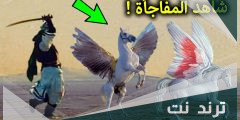 لماذا ذبح النبي سليمان الأحصنة المجنحة الصافنات الجياد